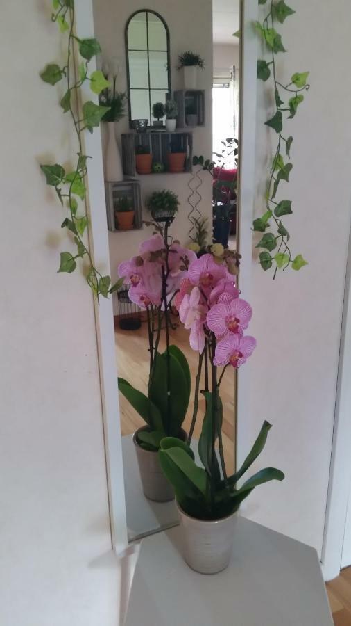 B&B Mora Zewnętrze zdjęcie
