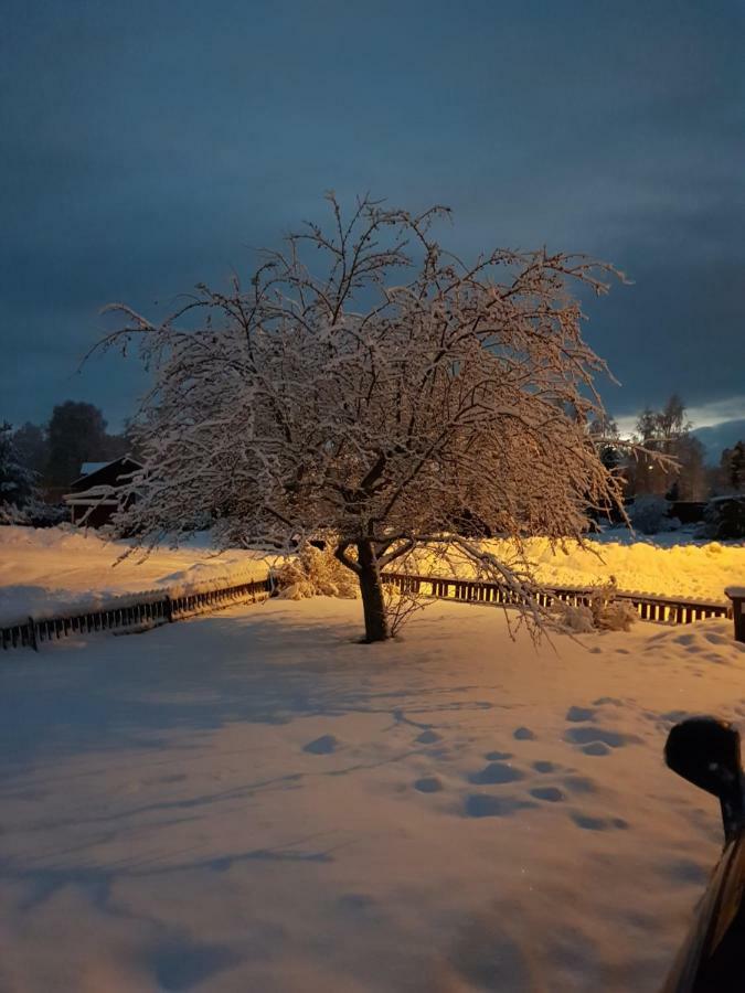 B&B Mora Zewnętrze zdjęcie